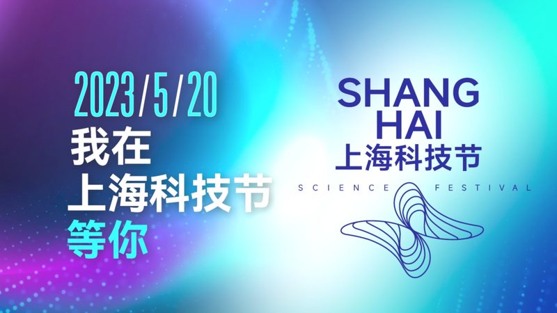 实时搜索性能优化：揭秘提升效率的关键策略